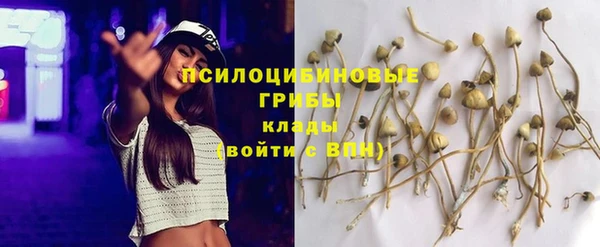 PSILOCYBIN Лабытнанги