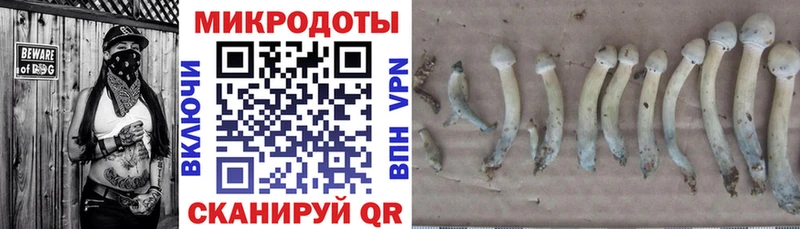 Галлюциногенные грибы Psilocybine cubensis  блэк спрут как войти  это клад  Нижний Ломов 